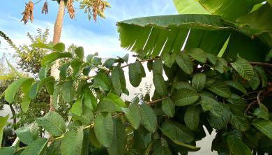 Paisaje Lunar - Foto 2