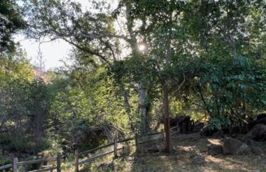 River Retreat near Sequoia National Park - Foto 16