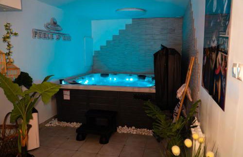 Perle d'eau-Love Room-Jacuzzi-Sauna-Proche Montbéliard et Belfort - Foto 12