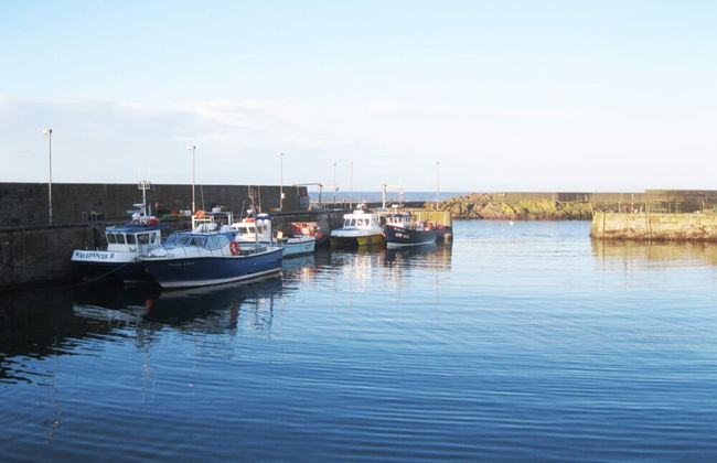 Holiday Home Near Beach in Zeeland - Foto 28