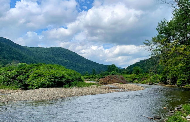 Eagle Ridge Treehouse - Foto 16