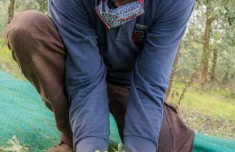 Agriturismo Renello - Foto 36