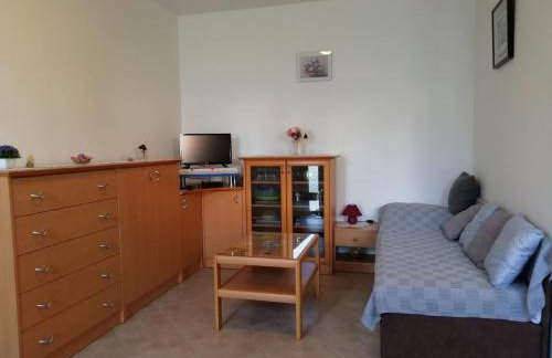 Apartmani Vesna - Foto 16