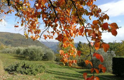 casa marconi - Foto 31