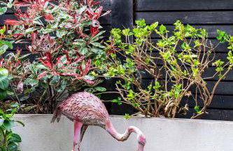 The Bohemian Rhapsody, Hampstead - by Out of office Lifestyle - Foto 29