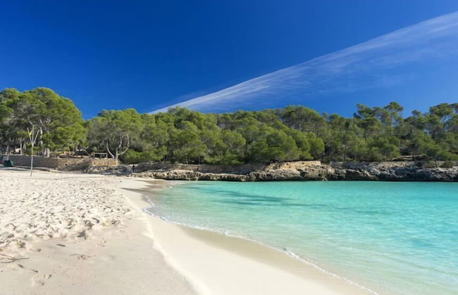 Bella Maria Apartments & Pool Club - Photo 53