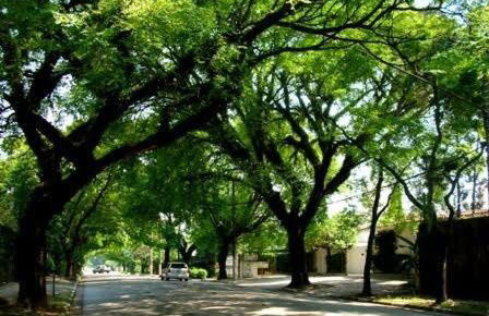 Executive Flat - Foto 31