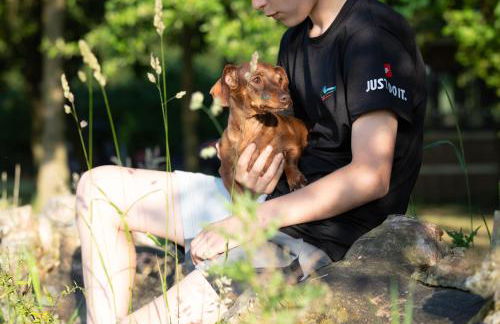 Luxury Chestnut Lodge with Hot Tub and Games Room - Foto 8