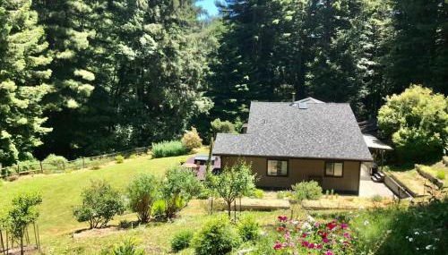 Trinidad Artist and Healing Retreat with Hot Tub - Foto 3, Garden