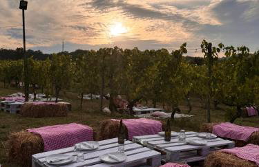 Agriturismo Verde Vigna - Foto 35