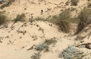 Villa Aliki - Foto 51