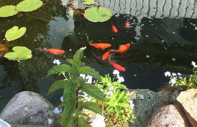 7 Person Holiday Home in Nassjo - Foto 28