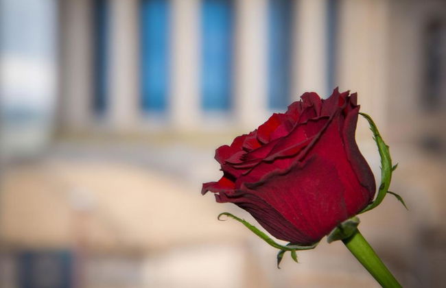 Il Duomo Relais - Foto 17