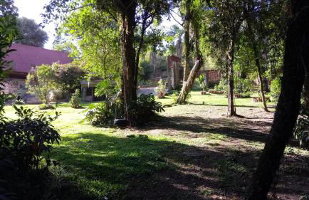 Tiny House II - Sítio dos Wolff - Foto 19