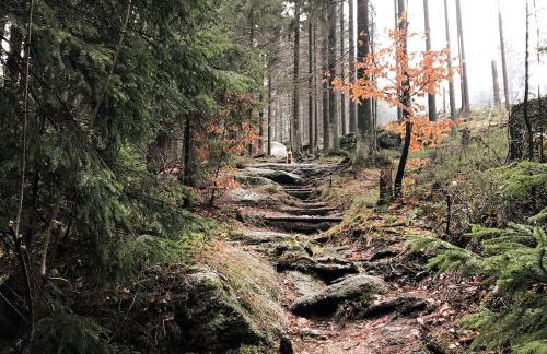 Geräumige Ferienwohnung inmitten der Natur - Foto 21
