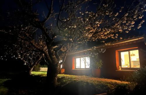 Le Grand Hermas - Foto 24