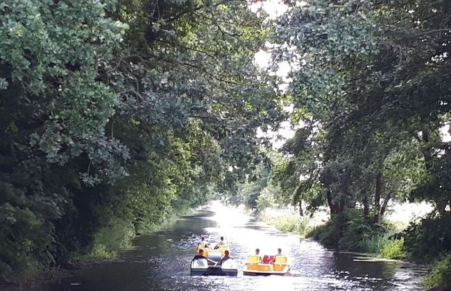 Apartments Fröhling - Foto 49