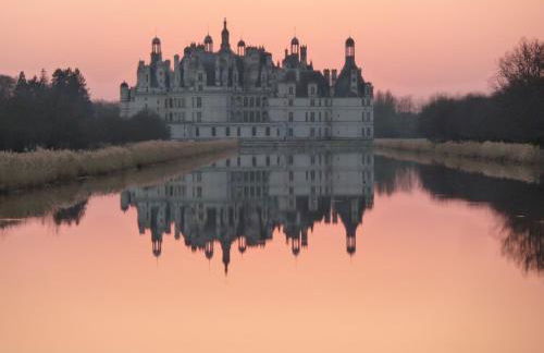 Le Rin de la fôret - Foto 13