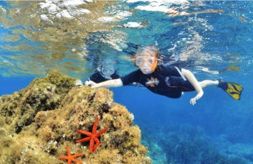 BERGERIE PLAGE Entièrement rénové Prestations Premium Baignoire Balnéo Clim Vue Piscine et parc - Foto 34