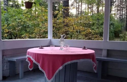 Wilga - urokliwy dom z bala (50 km od Warszawy) - Foto 18