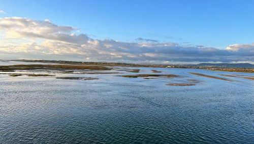 Appartement T1 Faro - Foto 3