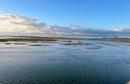 Appartement T1 Faro - Foto 3