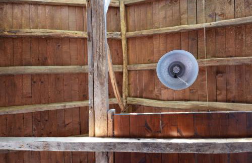 Dendrocopos Medius - Photo 11