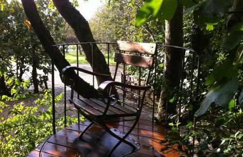 Agriturismo Poggio Salvi - Foto 11