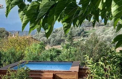 U MANDARINU - Foto 22