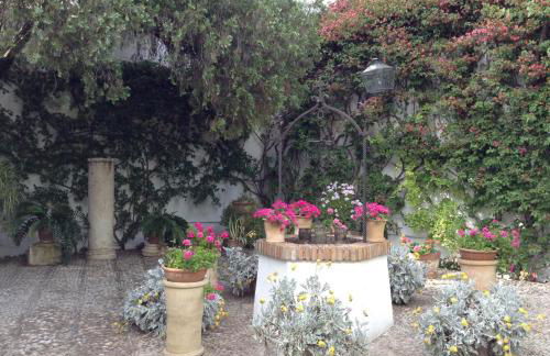 Irache Dreams - Foto 18