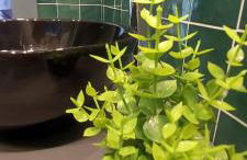 Gate 16 Room Napoli - Photo 16