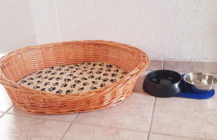 Ferienwohnung Pension Reimann Zwethau - Foto 15