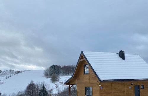 Dzika Polana - Foto 38