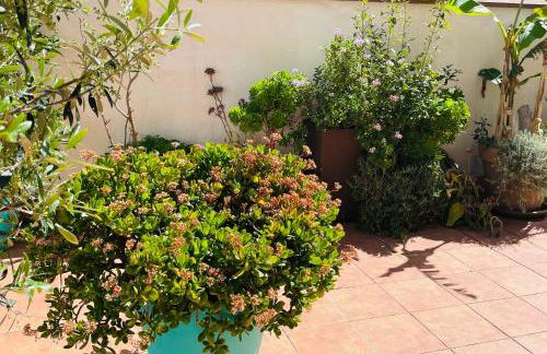 Figueres Center - Foto 37