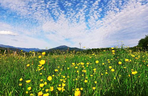 Casa Rural Aldekoa - Foto 6