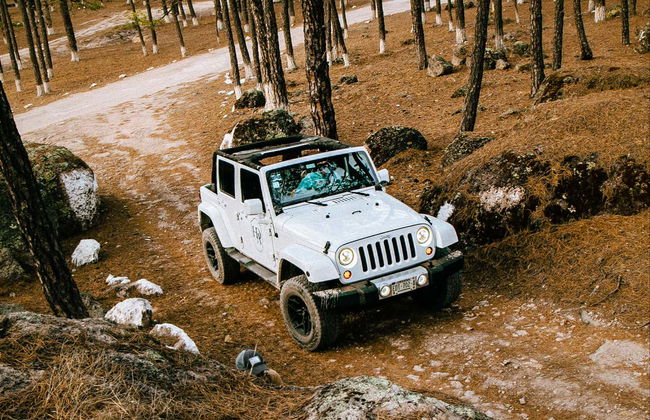 Balade en 4x4 autour de Creel - Photo 6