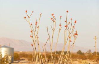 Sun Runner - Serene desert home w/pool & hot tub - Foto 22