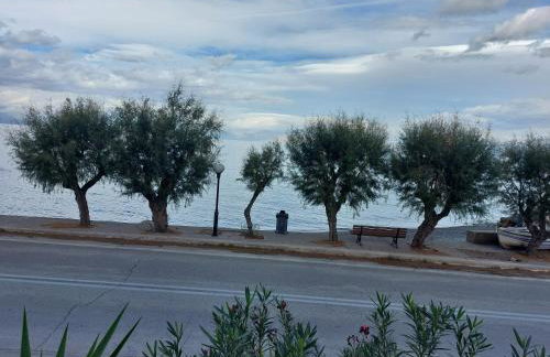 SereneLands Seaside House by MPS - Foto 11