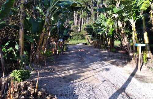 BANGALOS FLORIANÓPOLIS - Foto 60