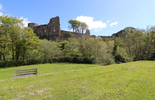 Bracken Fern - Photo 32