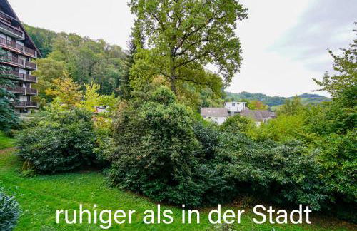 Gaishöll-Wasserfälle Apartment Schwarzwald - Foto 6