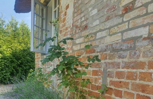 Paulsen Häuschen - Schloss Gelting - Foto 16