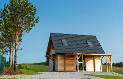 Domek Letniskowy U ZENITA - Foto 2