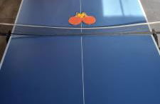 Casa Páez - Foto 22