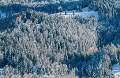 Landhaus No 12 mit privater Sauna - Foto 14