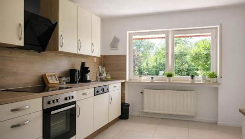 Ferienwohnung Westerwaldblick großzügige Wohlfühloase mit Terrasse - Foto 4, stove, dishwasher