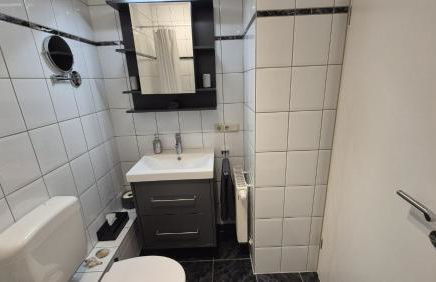 Apartment 1 mit Terrasse und PKW-Stellplatz - Foto 10