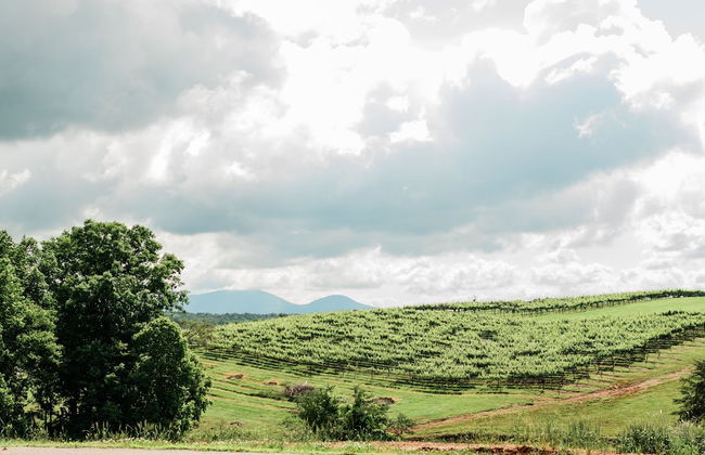 A Frame of Mind - Foto 15