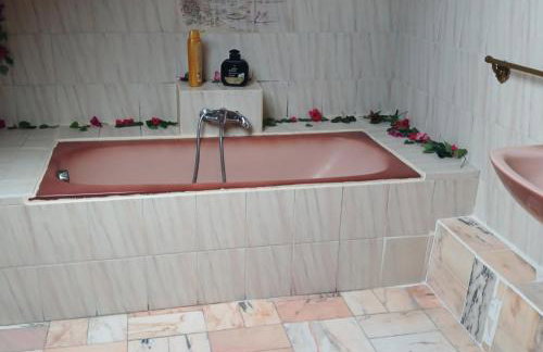 Maison 8 pièces Spa jacuzzi Paris Airport CDG jardin arboré clos - Foto 22