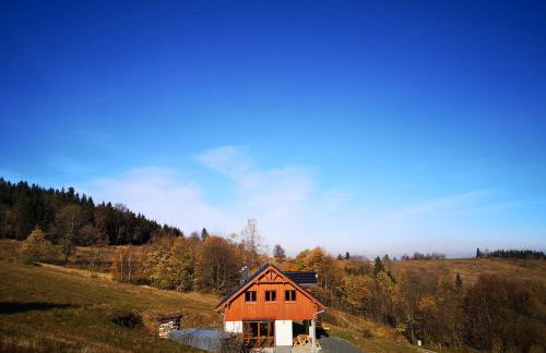 Orle Gniazdo - Foto 21